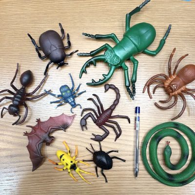 پک فیگور حشرات