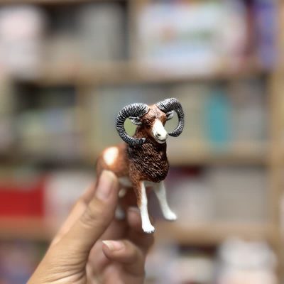 فیگور قوچ اورجینال