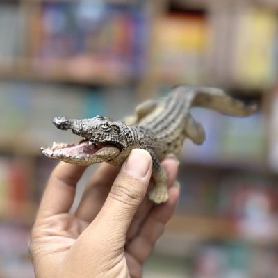 فیگور کروکدیل اورجینال