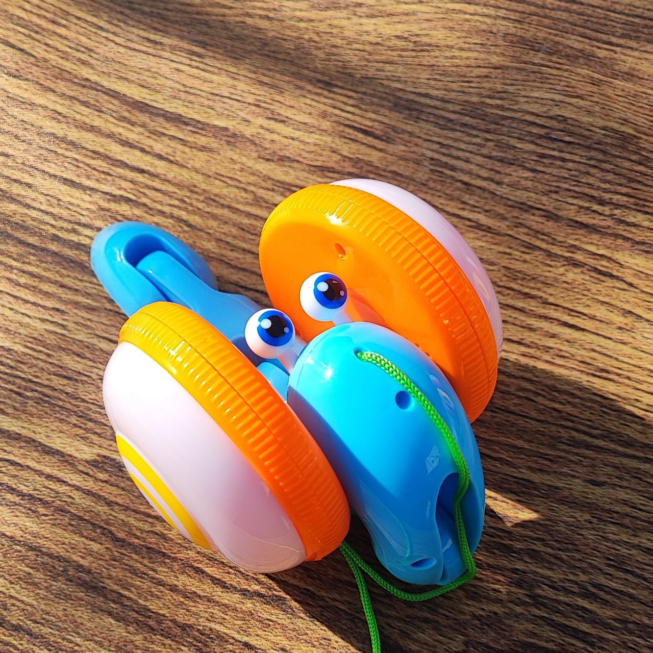 photo_2025-08-26_17-10-11 حلزون نخکش نارنجی آبی اورجینال