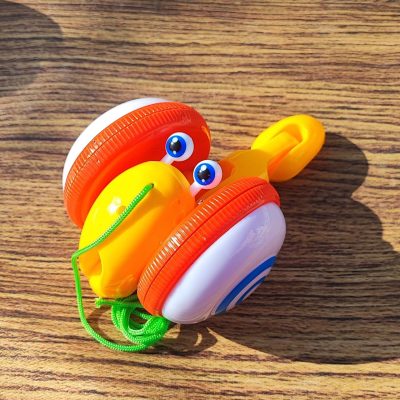 حلزون نخکش قرمز زرد اورجینال