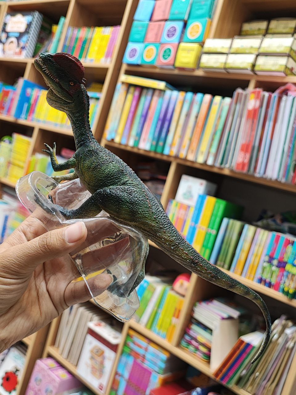 photo_2025-08-26_22-20-03 فیگور دایناسور اورجینال