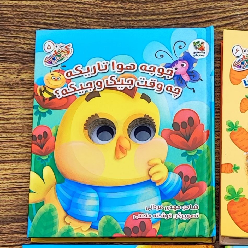 photo_2025-08-27_09-41-02 کتاب چشمکی جوجه