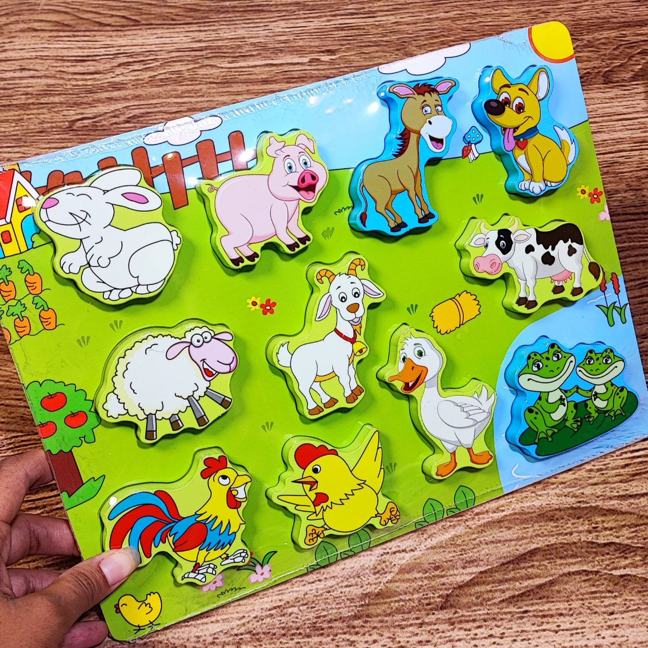 photo_2025-08-28_19-19-22 پازل برجسته اهلی چپ بالا خرگوش