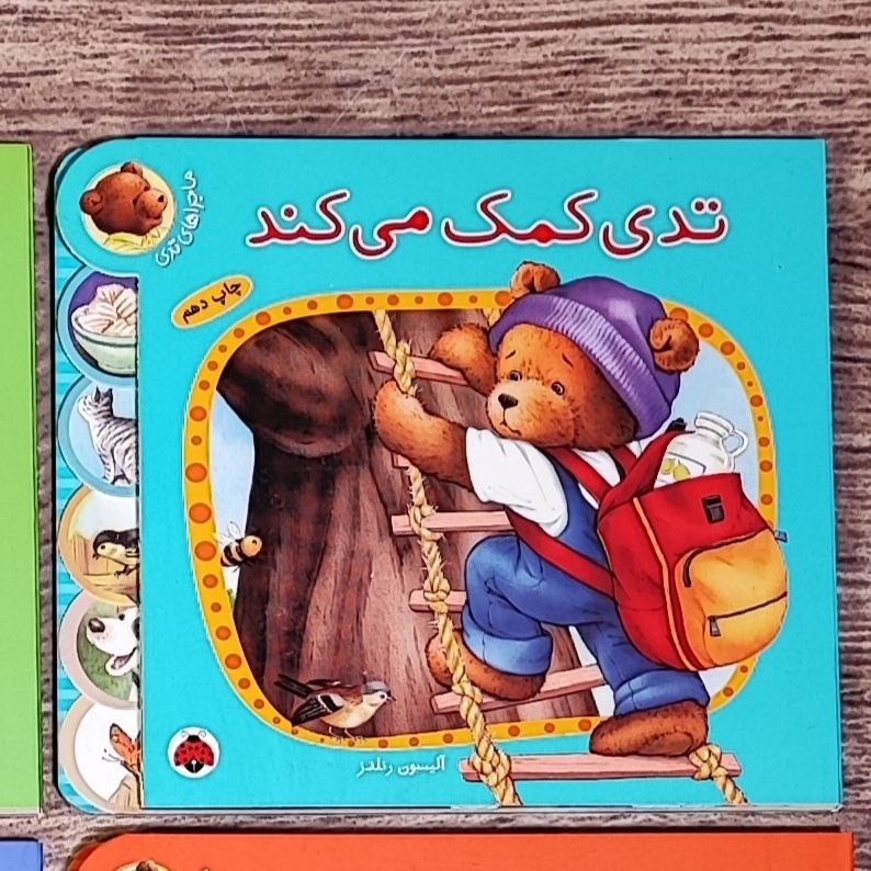 photo_2025-08-28_19-44-06 کتاب تدی کمک میکند