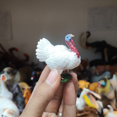 فیگور بوقلمون