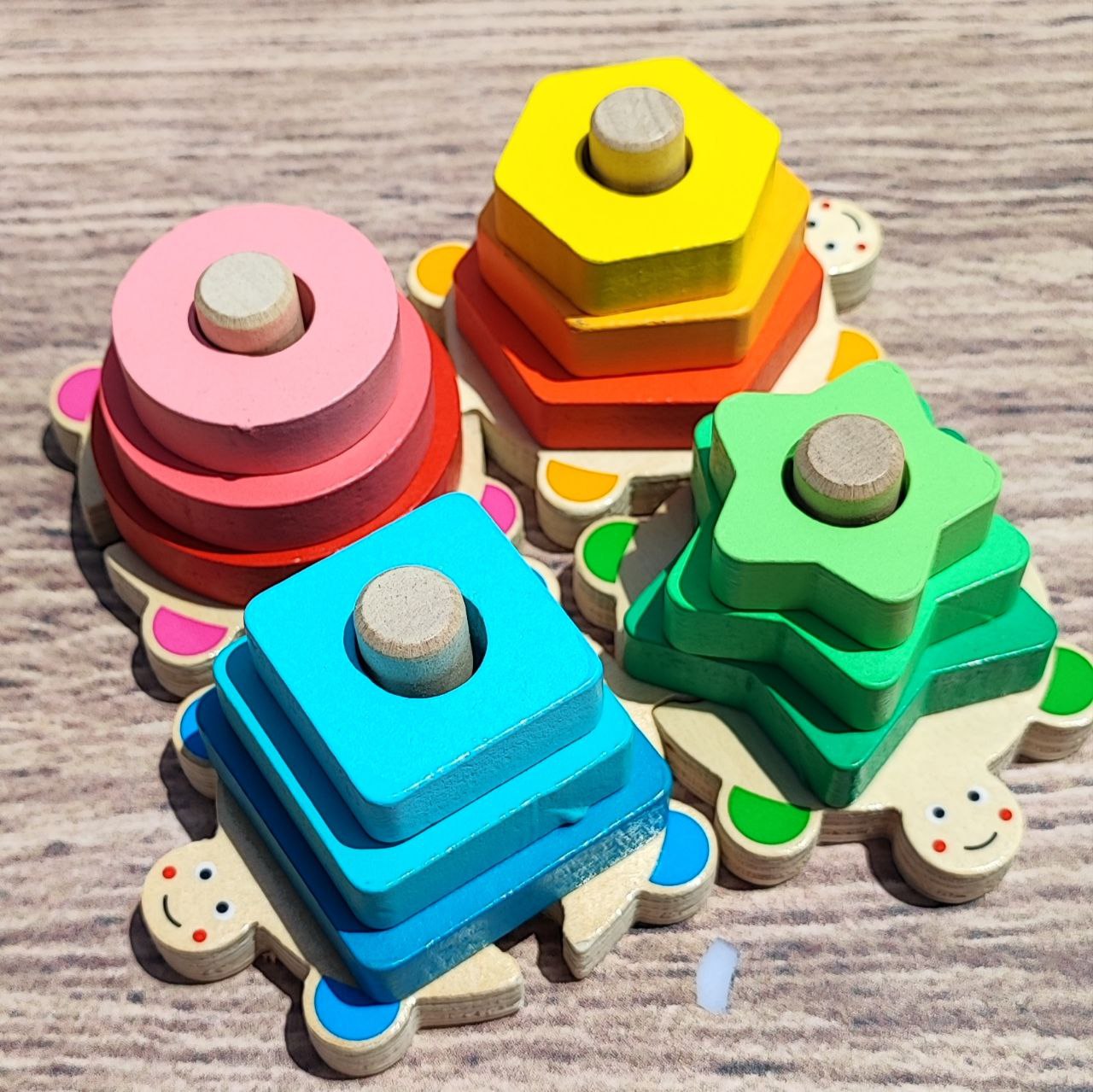 photo_2025-09-02_18-52-44 مونته سوری پازلی لاکپشت