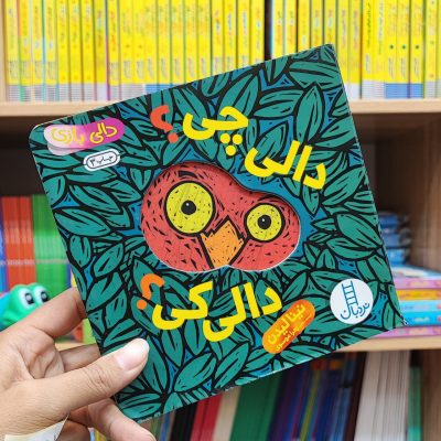 کتاب دالی بازی آینه ای چی دالی کی