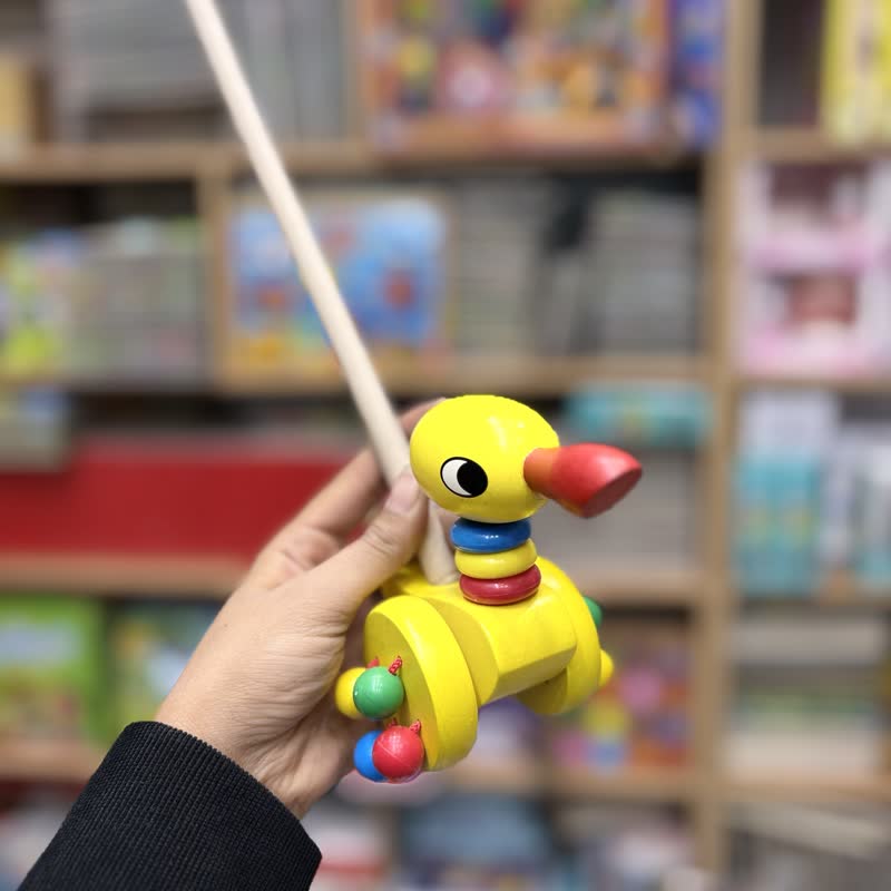 راهبر چوبی اردک نوک تیز چشم درشت